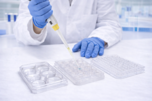 Cell & Tissue Culture Plates