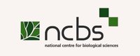 Ncbs