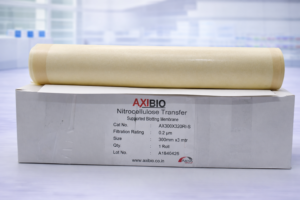 Nitrocellulose Blotting Membrane (Supported)