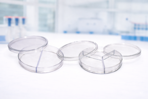 PETRI DISHES