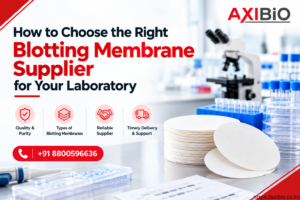 How to Choose the Right Blotting Membrane Supplier