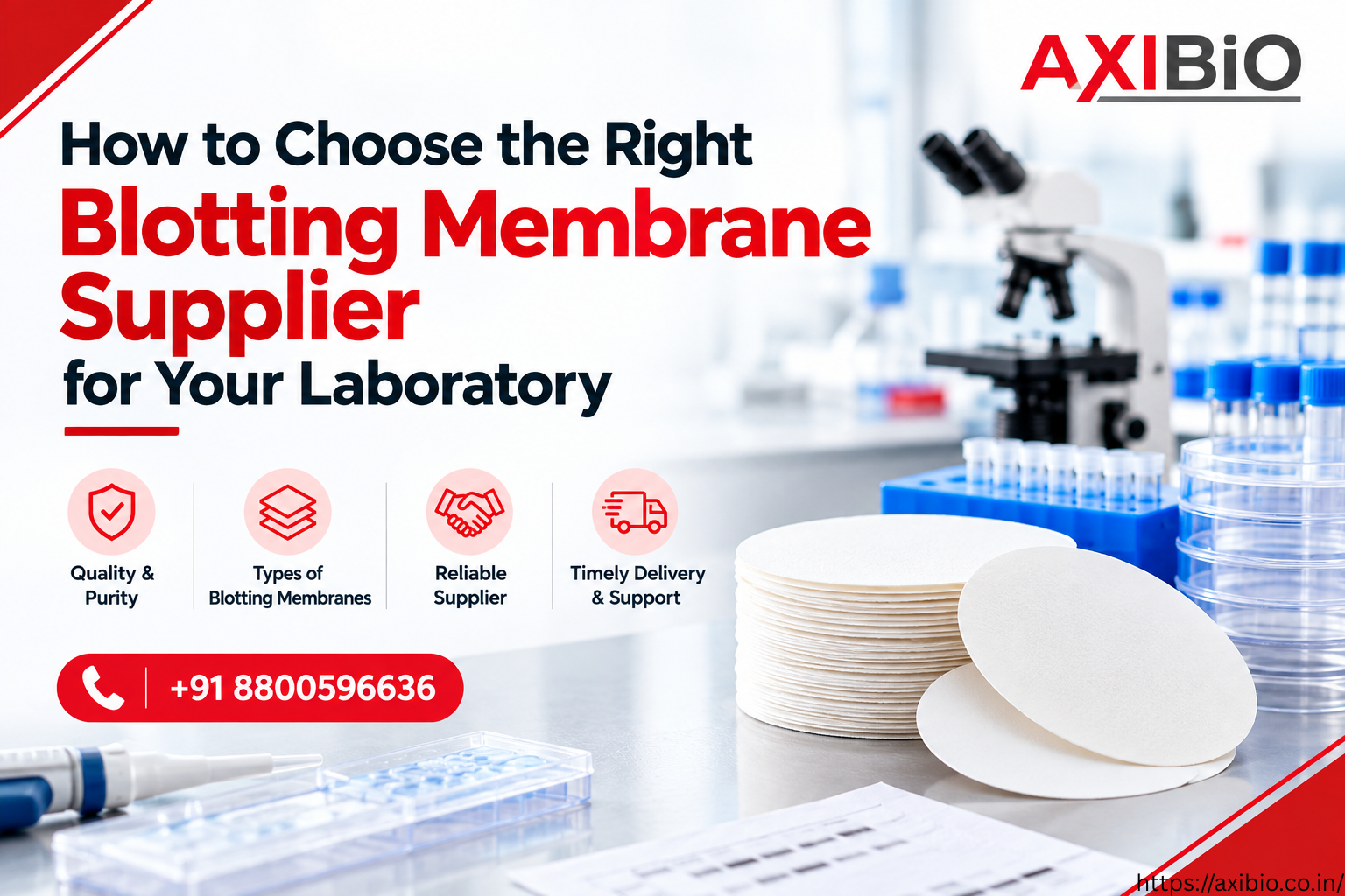 How to Choose the Right Blotting Membrane Supplier